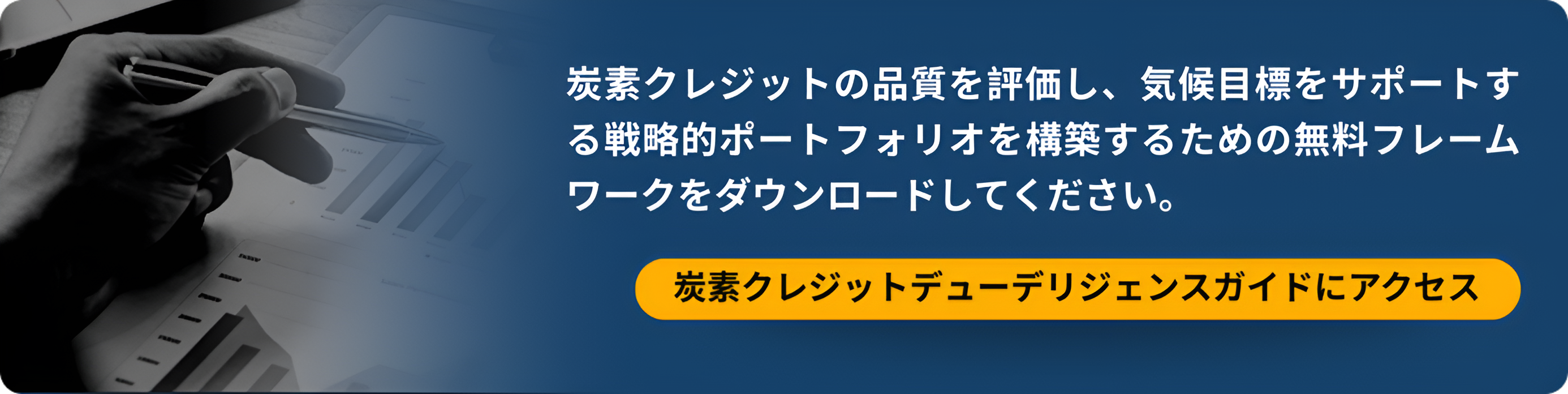 Access Our Carbon Credit Due Diligence Guide   