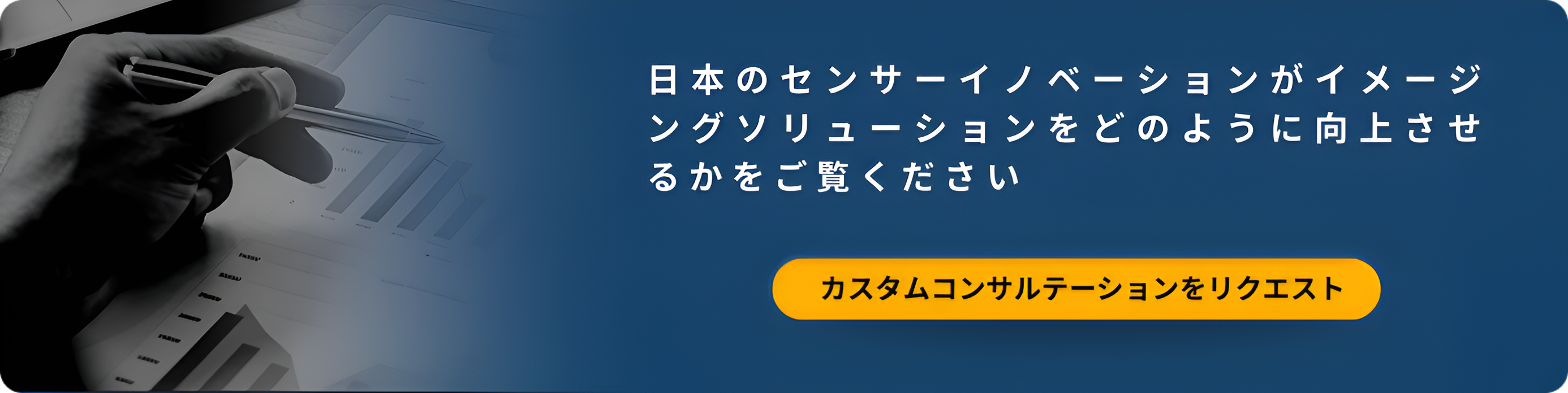 Access Our Consulting Services