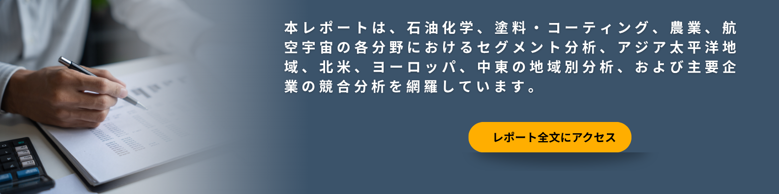 Access-Full-Report