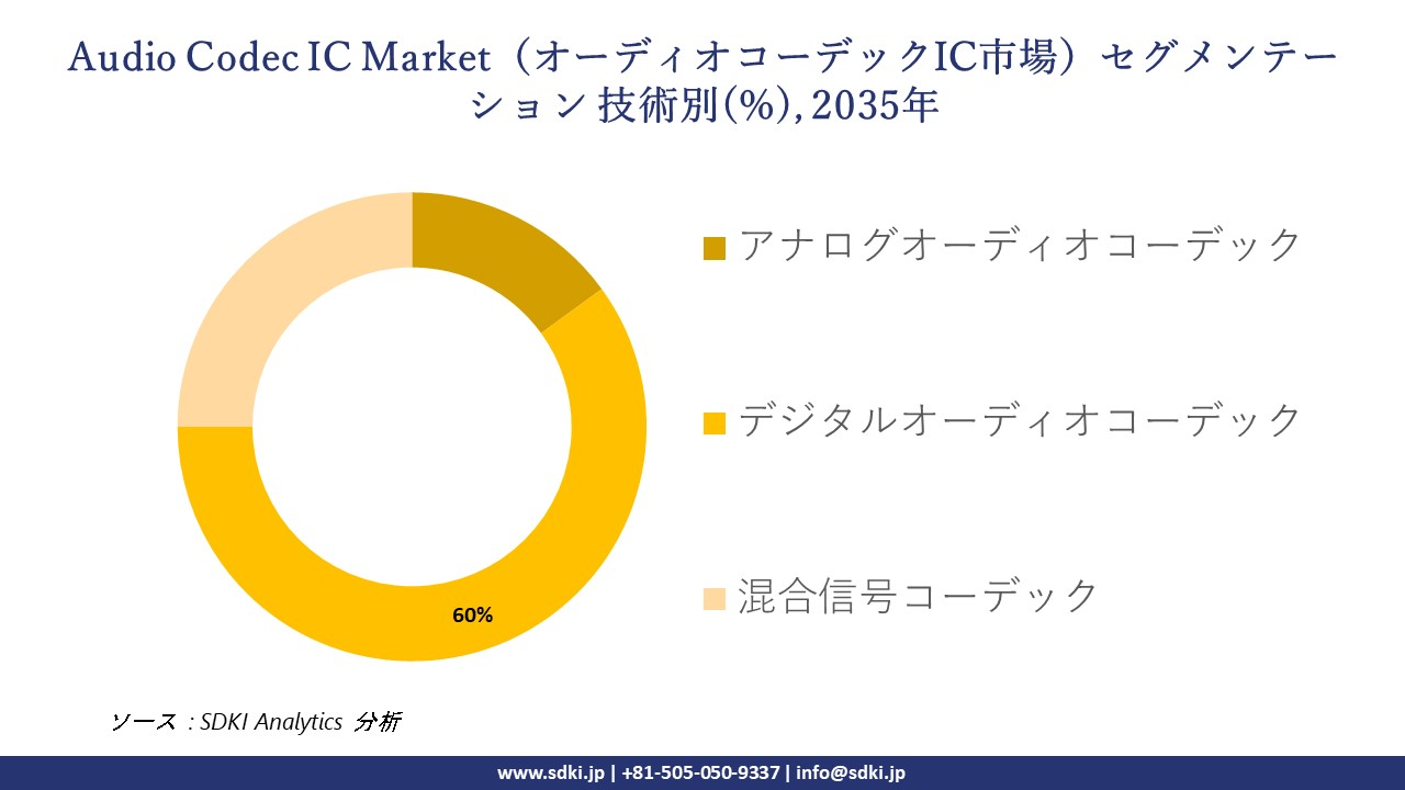 audio codec ic segmentation survey