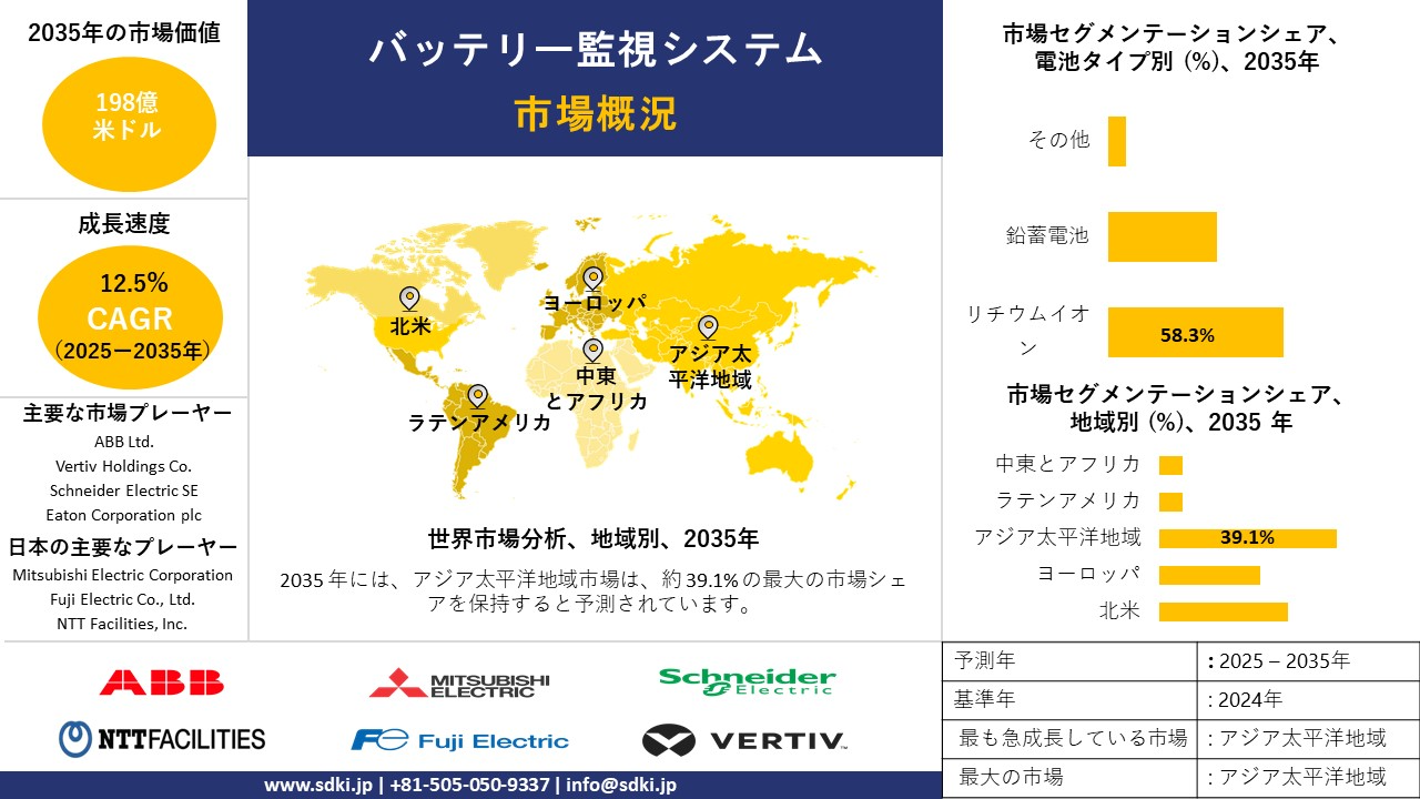 battery monitoring system survey report