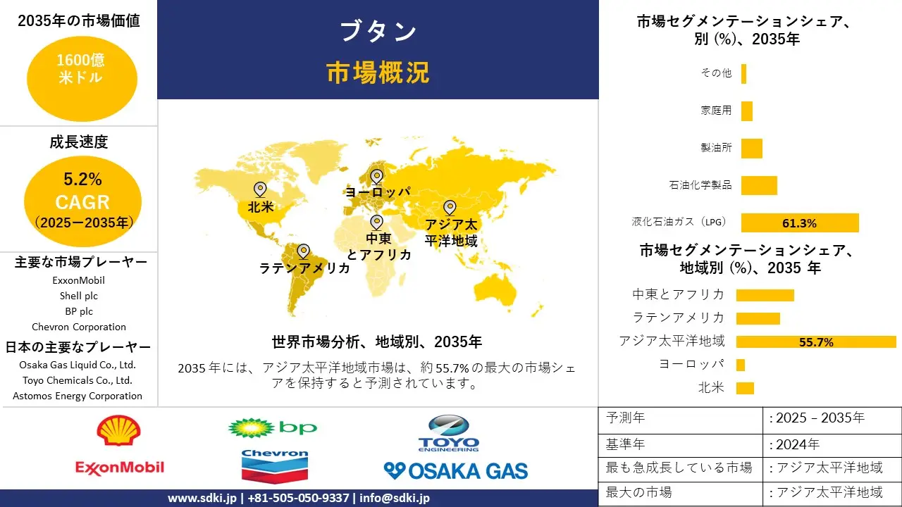 butane survey report