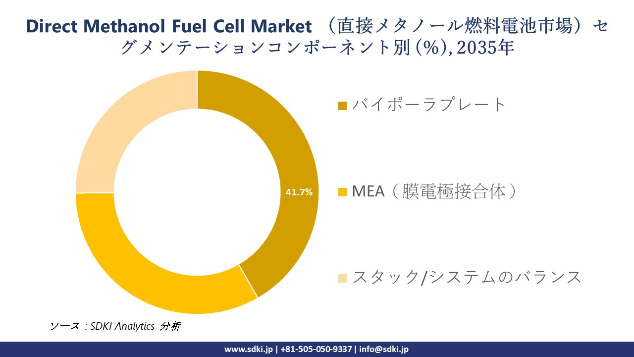 direct methanol fuel cell segmentation survey