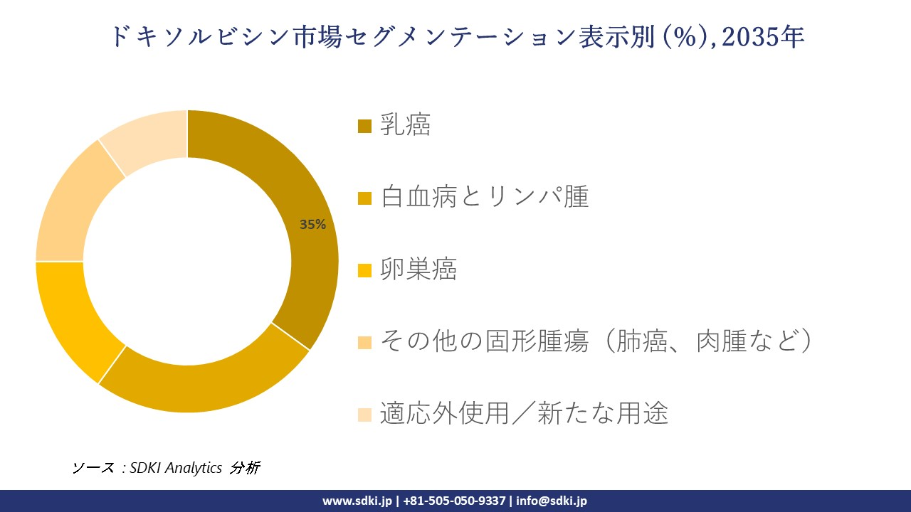 doxorubicin segmentation survey
