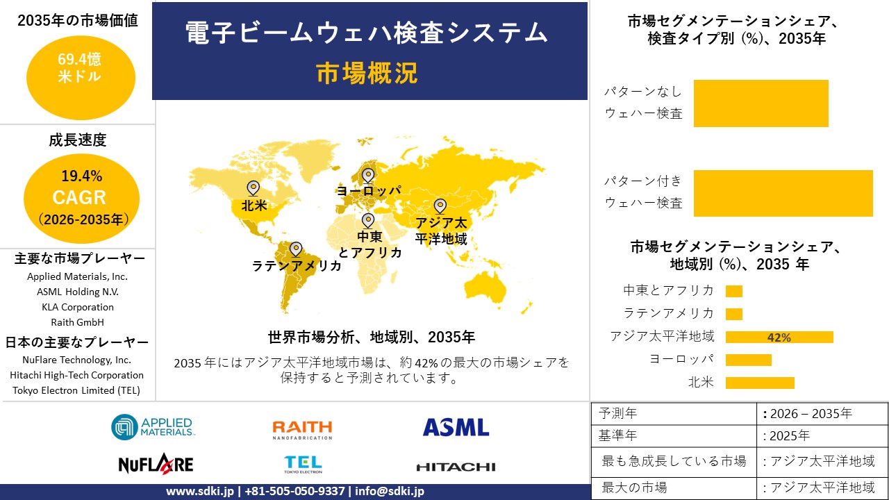 e beam wafer inspection system market survey report