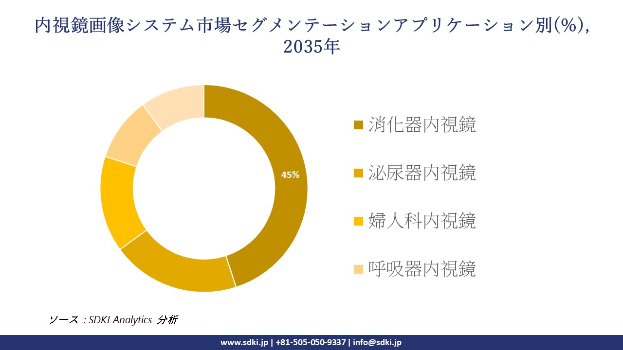 endoscopy visualization systems segmentation survey