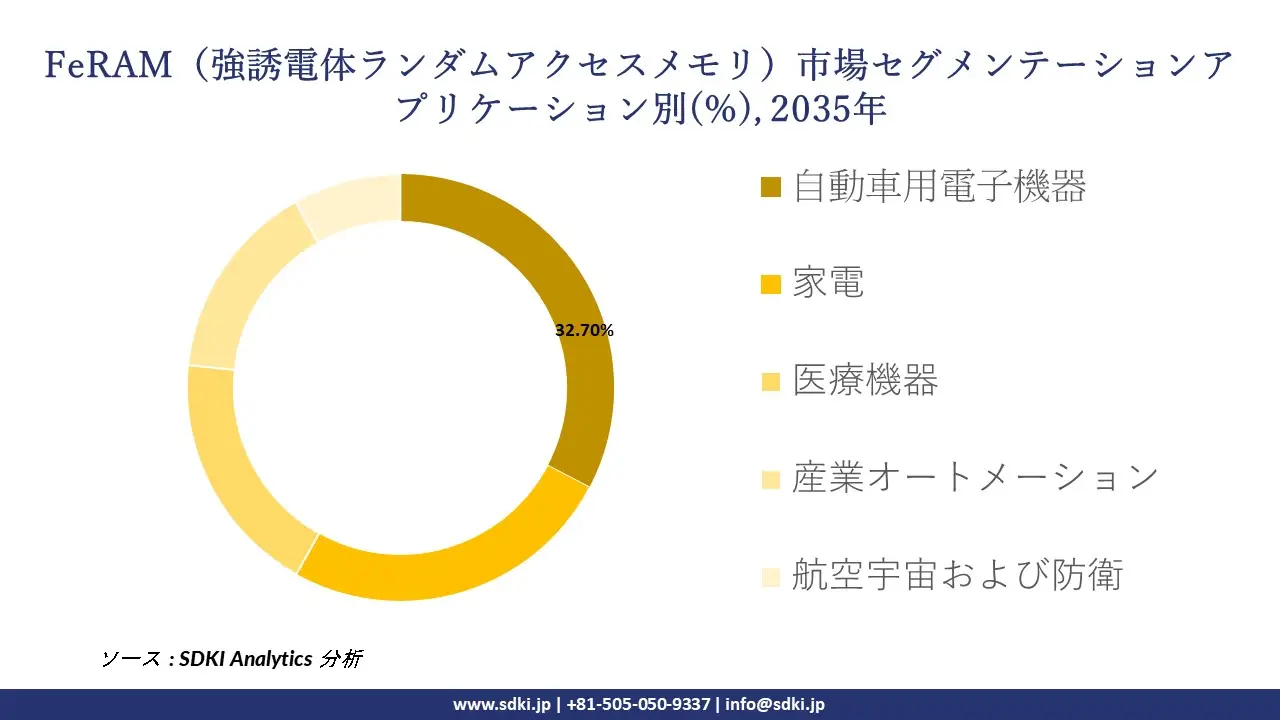 feram segmentation survey
