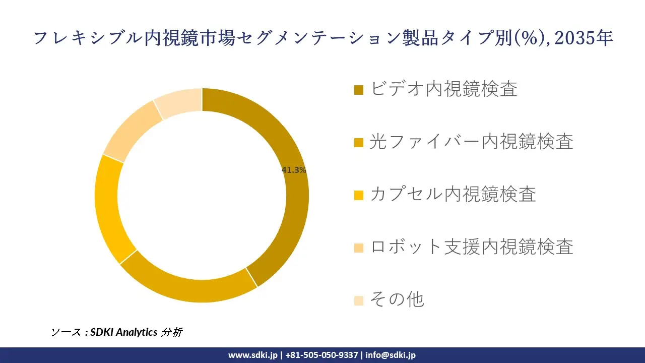 flexible endoscopes segmentation survey