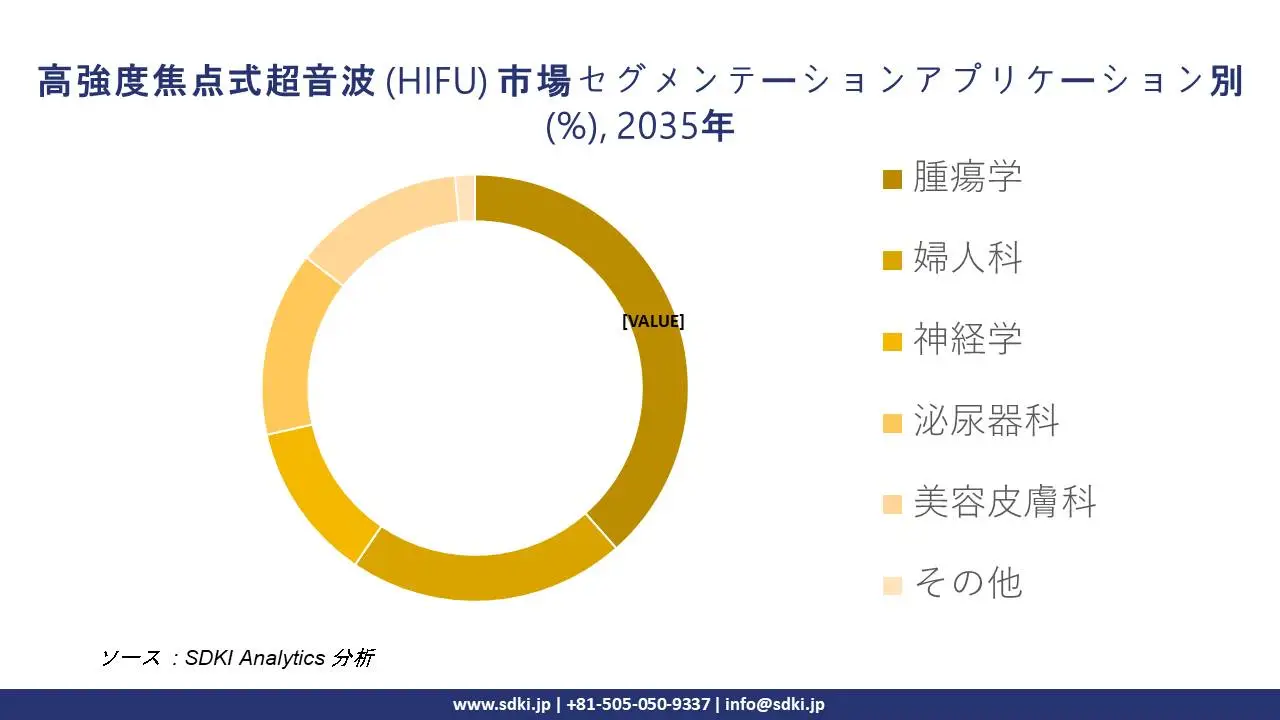 high intensity focused ultrasound segmentation survey