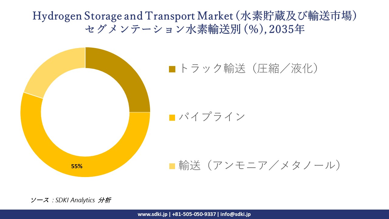 hydrogen energy market segmentation survey