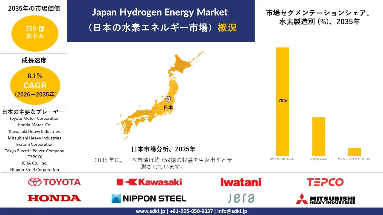 japan hydrogen energy market survey report