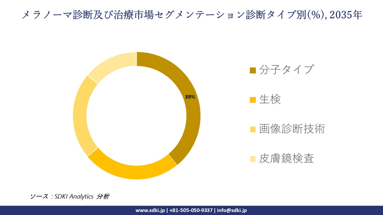 melanoma diagnostics and therapeutics segmentation survey