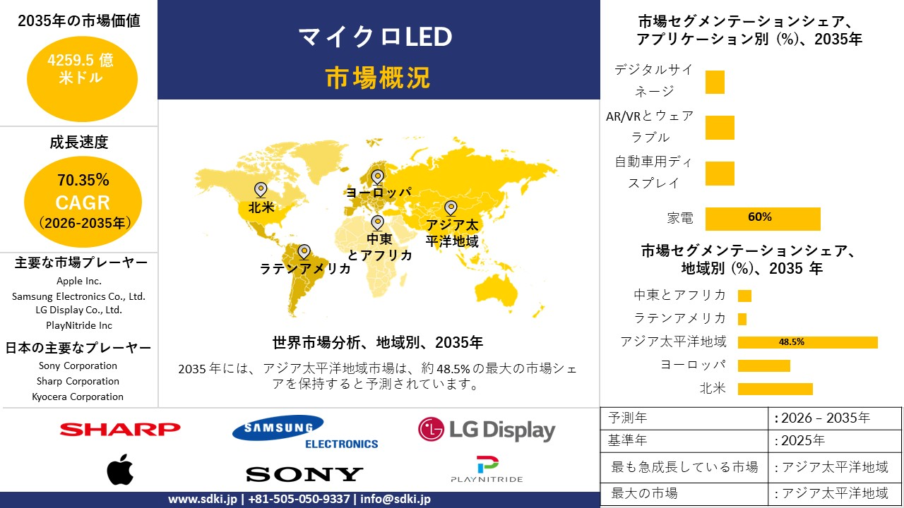 micro LED survey report
