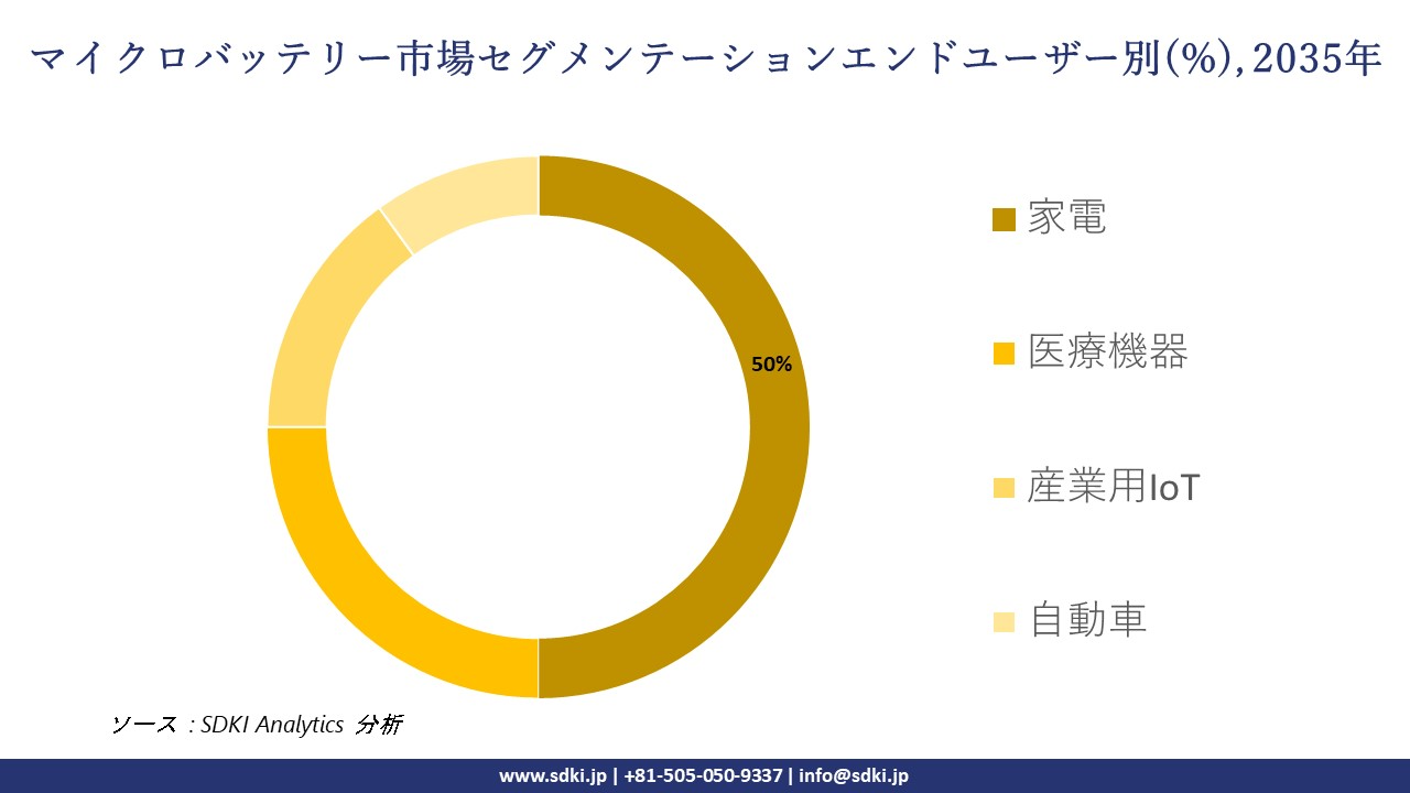 micro battery segmentation survey