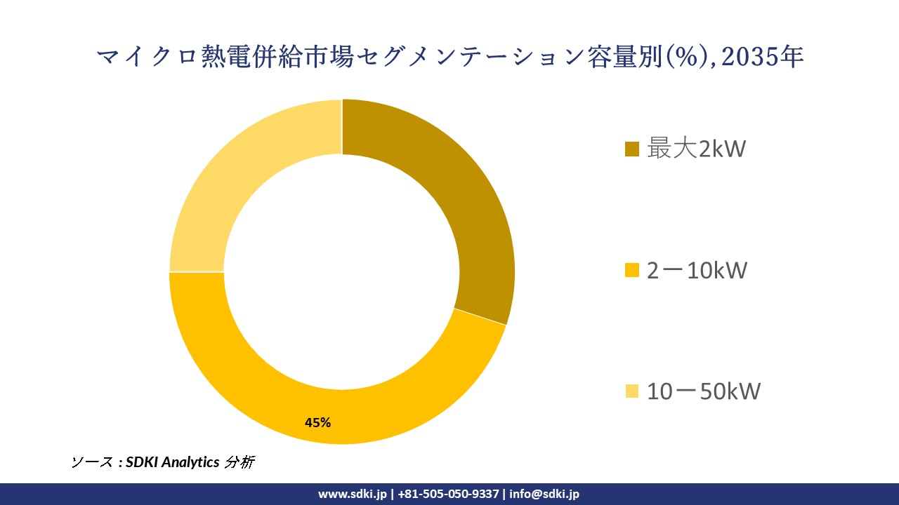 micro combined heat and power segmentation survey
