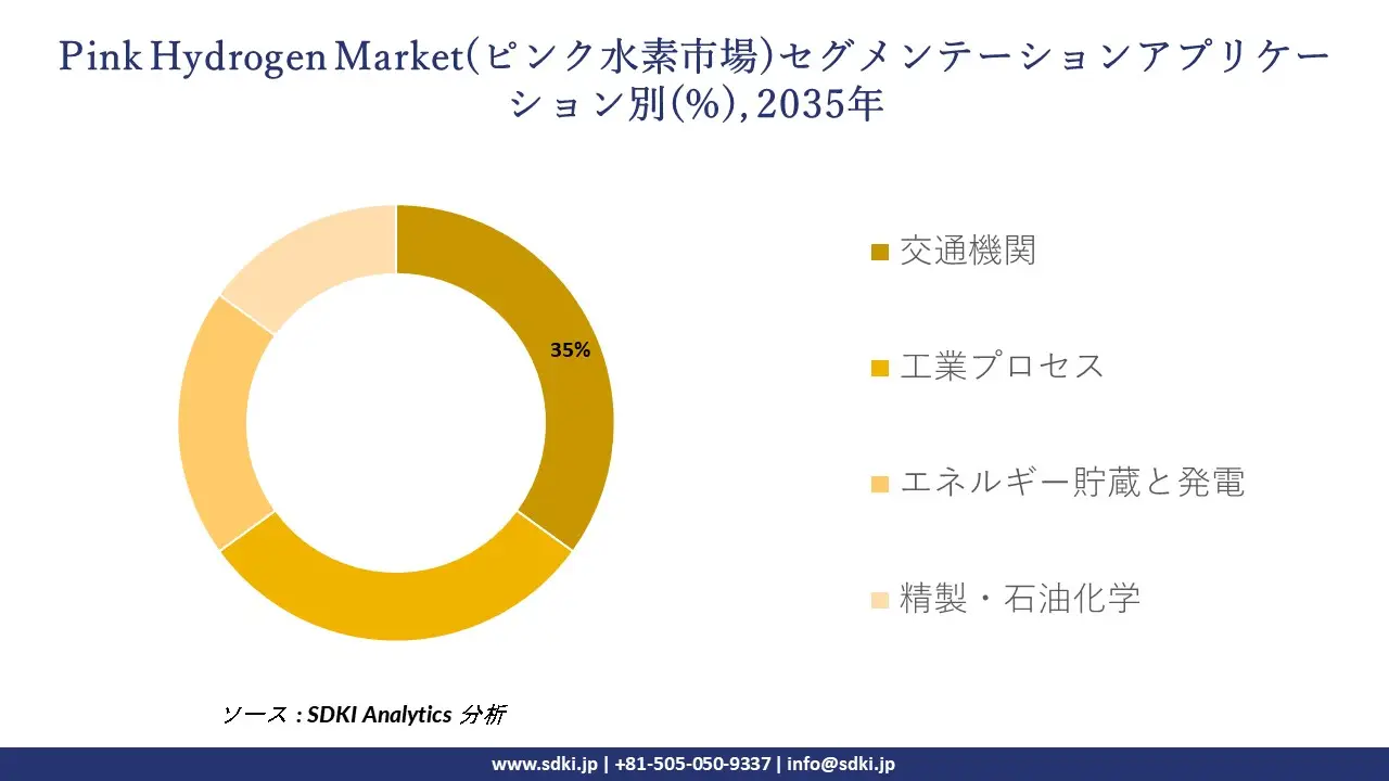 pink hydrogen market segmentation survey