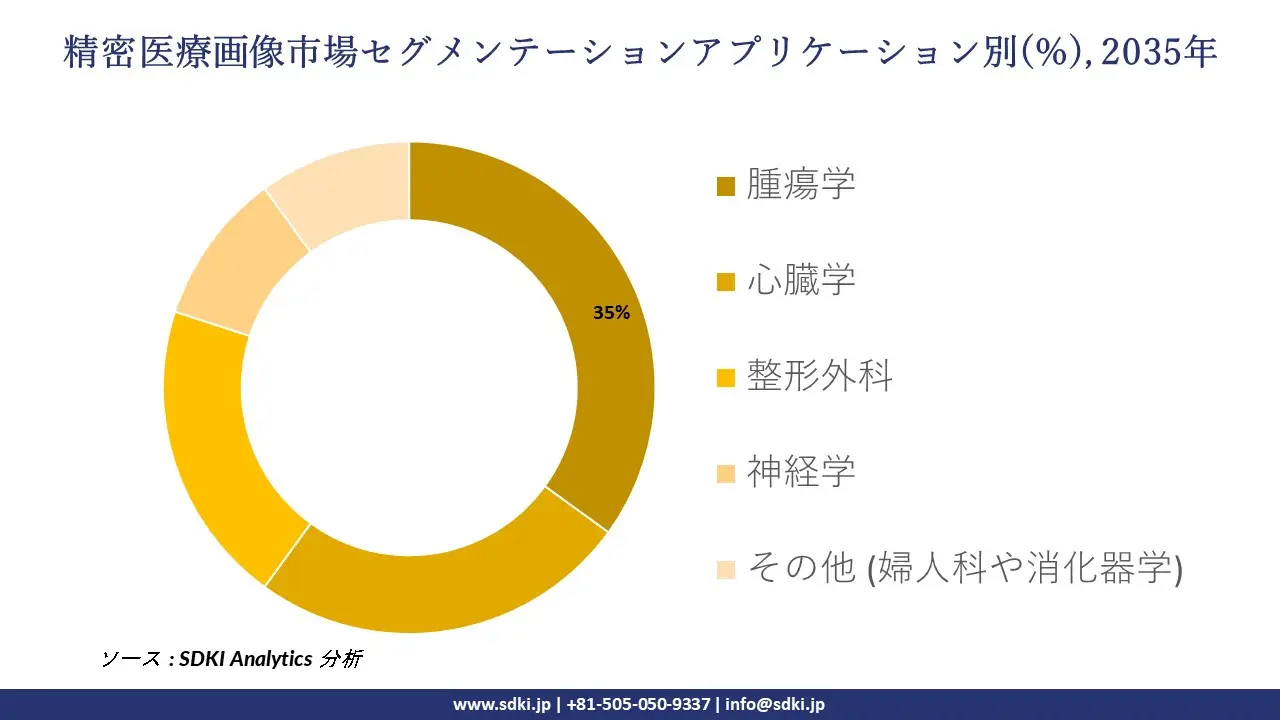 precision medical imaging segmentation survey