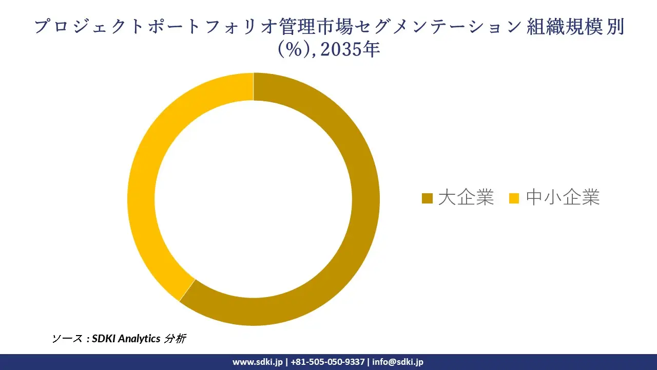 project portfolio management segmentation survey