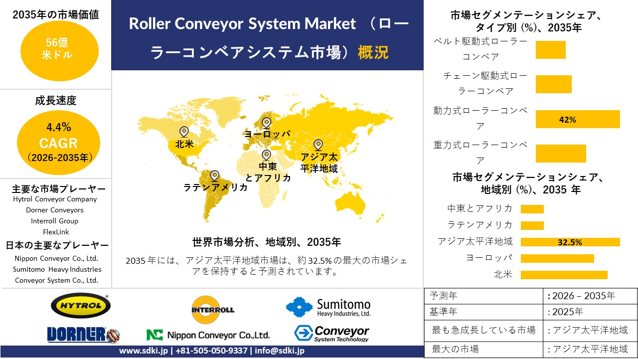 roller conveyor system survey report