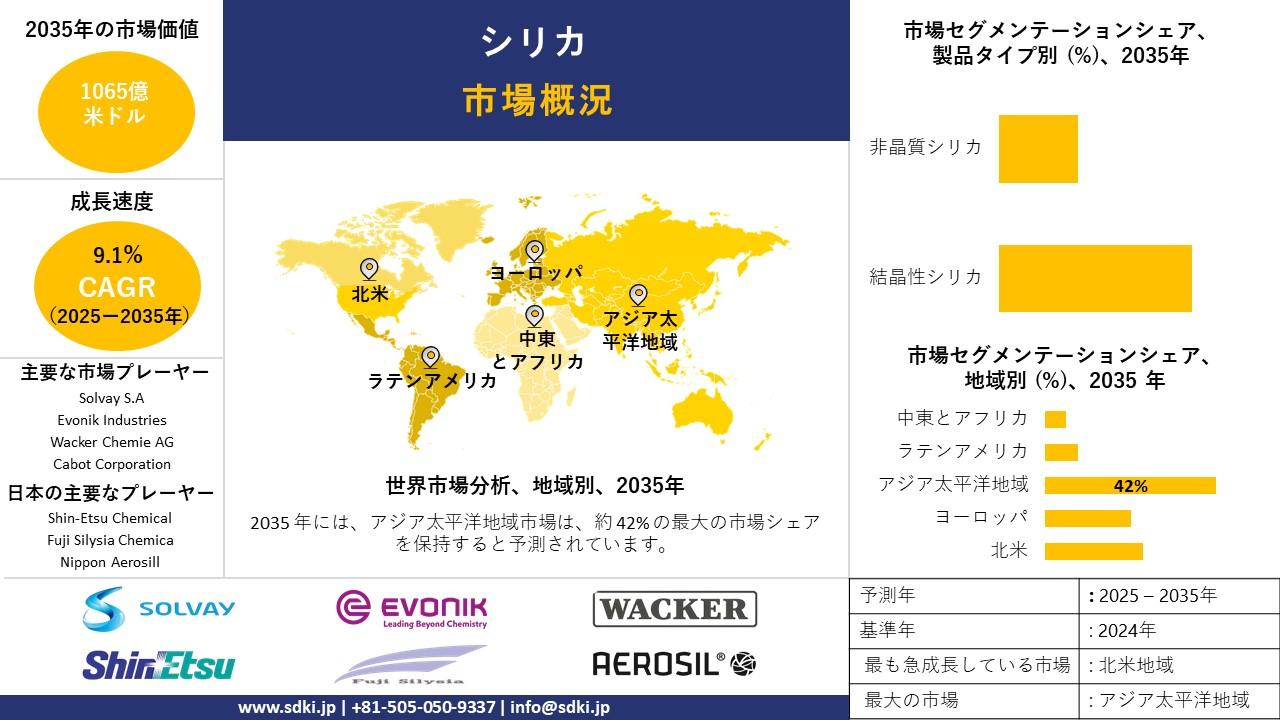 silica survey report
