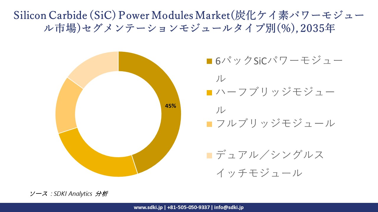 silicone carbide power modules market segmentation survey