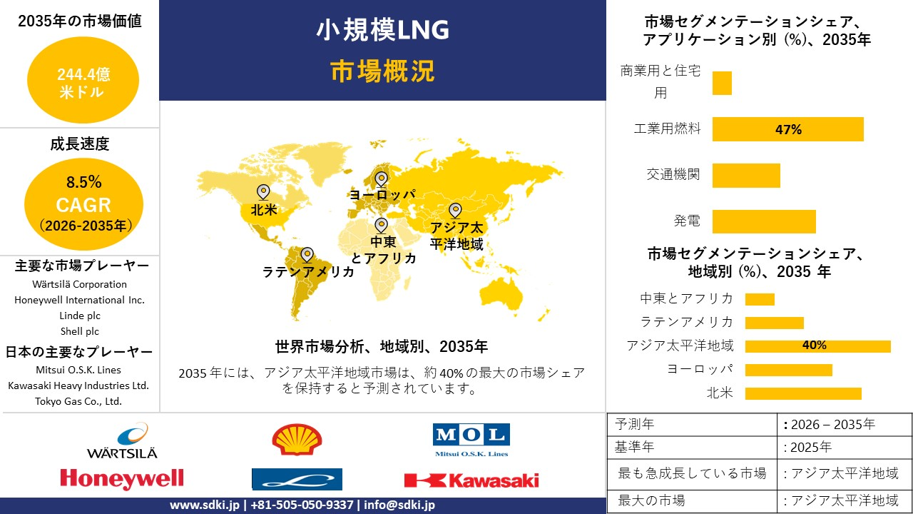 small scale lng survey report