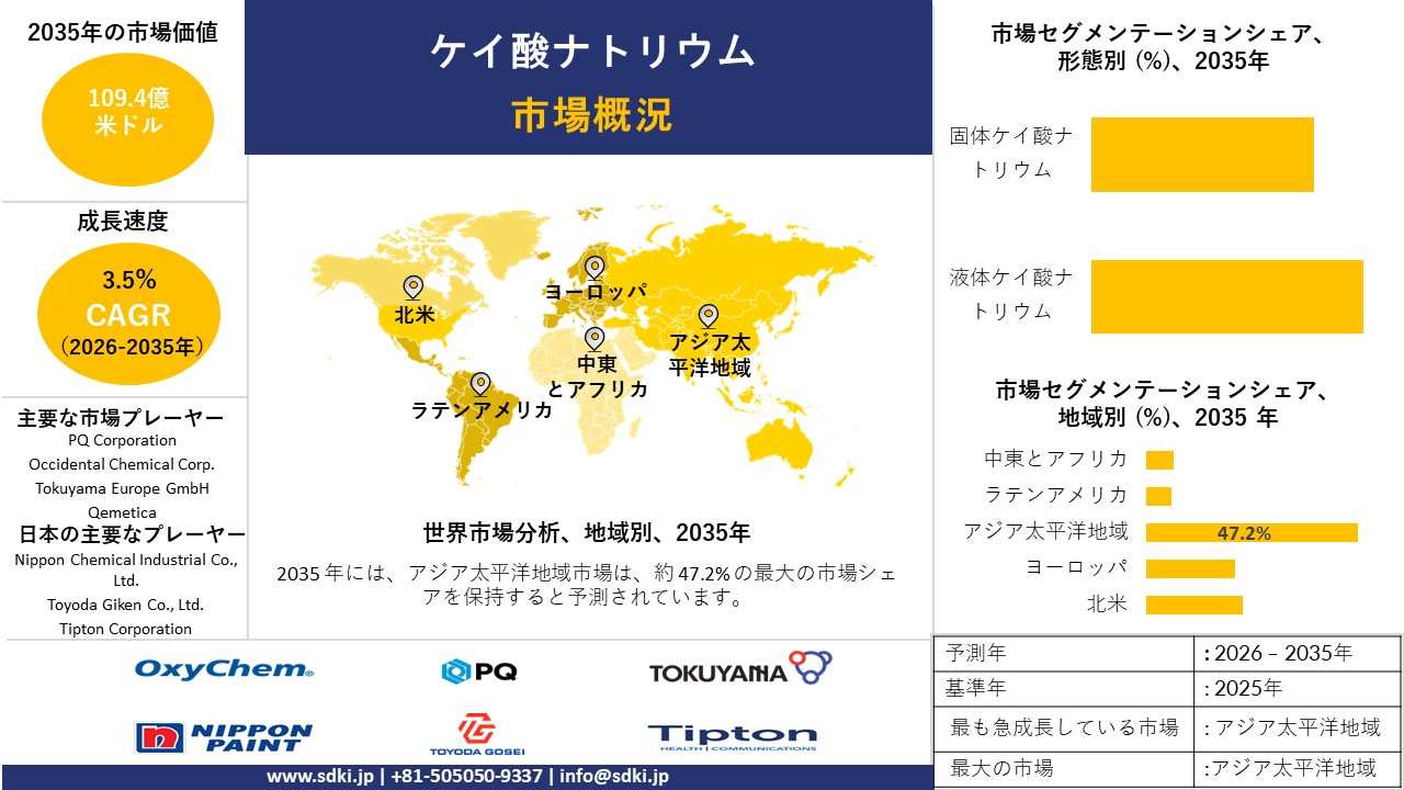sodium silicate market survey report