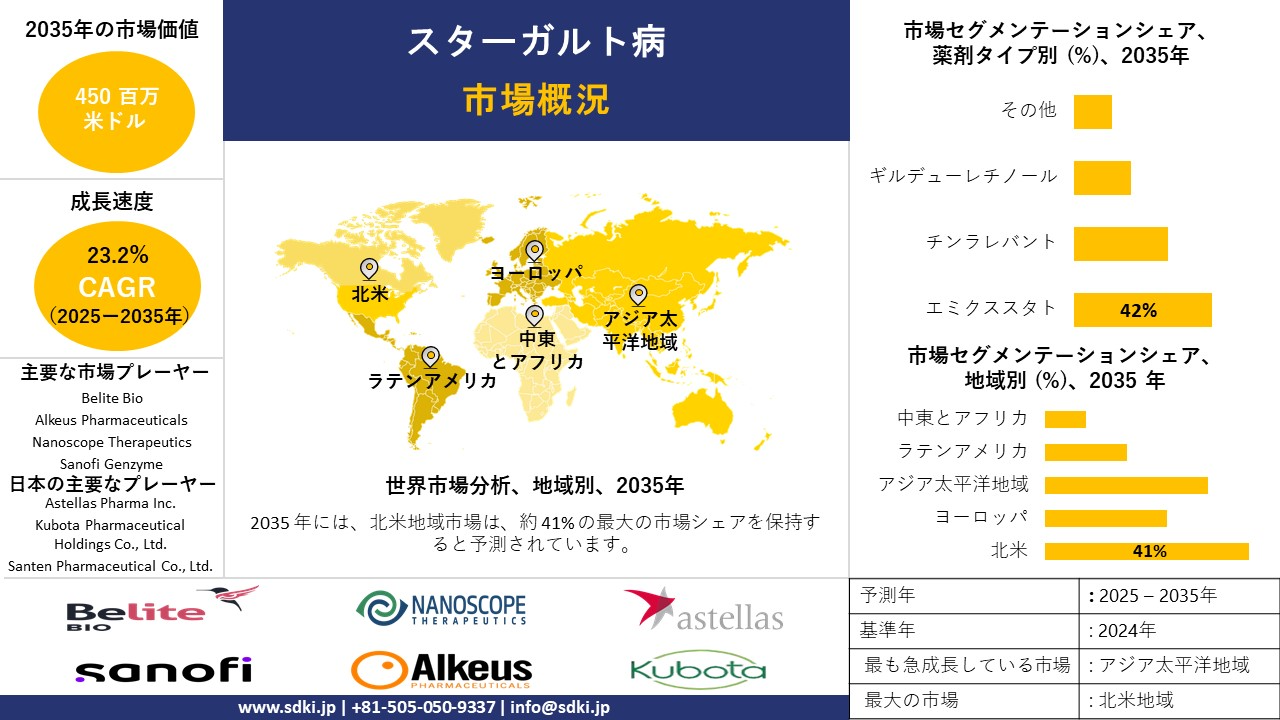 stargardt disease survey report
