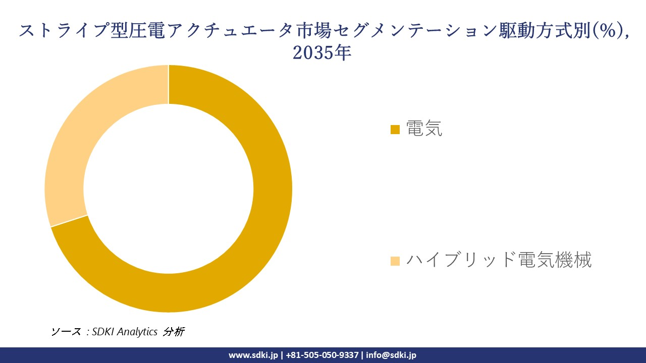 stripe piezoelectric actuators mmarket segmentation survey