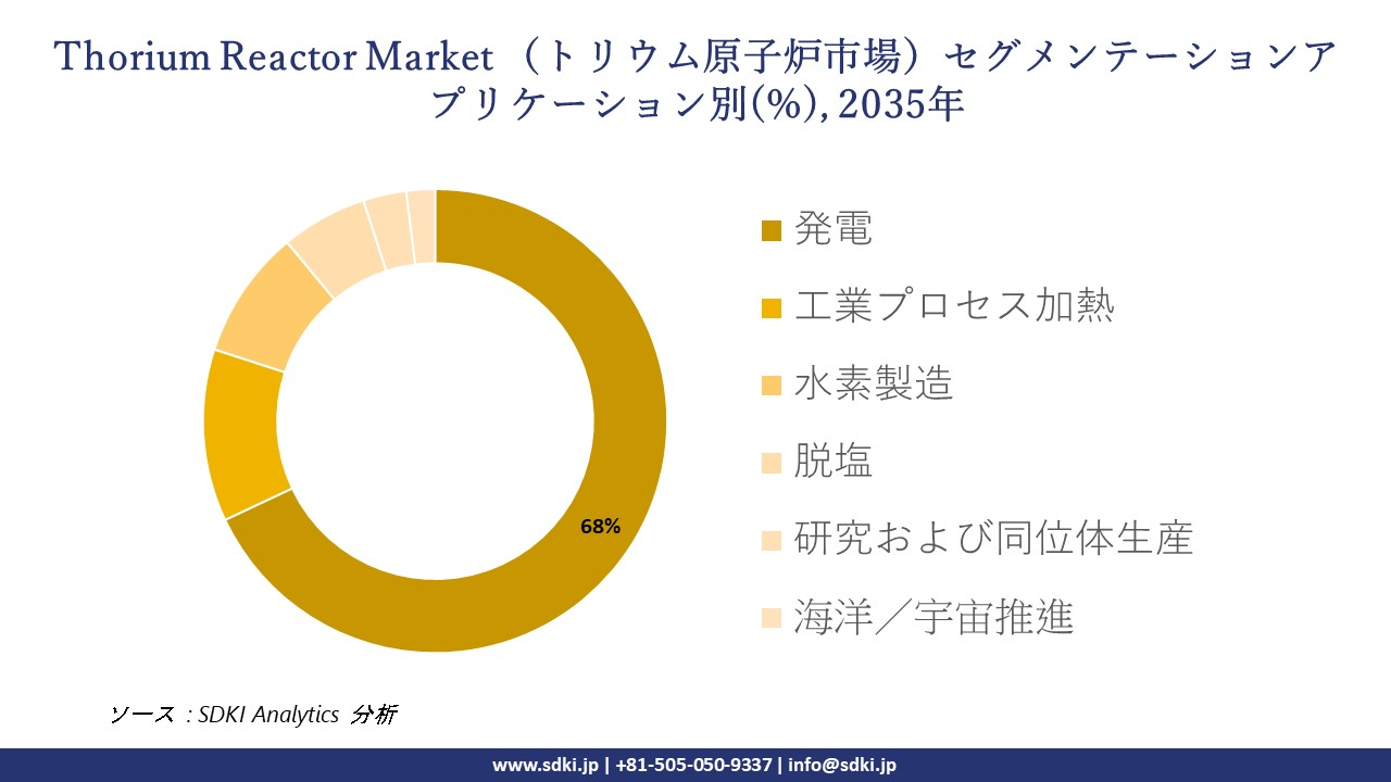 thorium reactor market segmentation survey