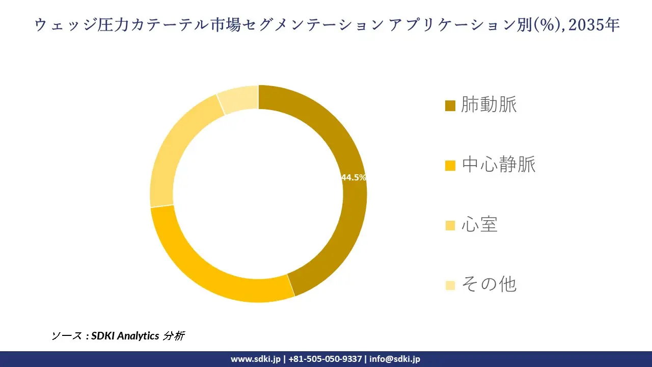 wedge pressure catheter segmentation survey
